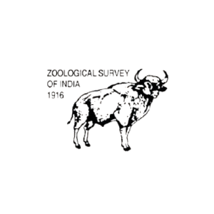 Logo-12-removebg-preview